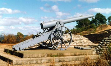 Longtom
